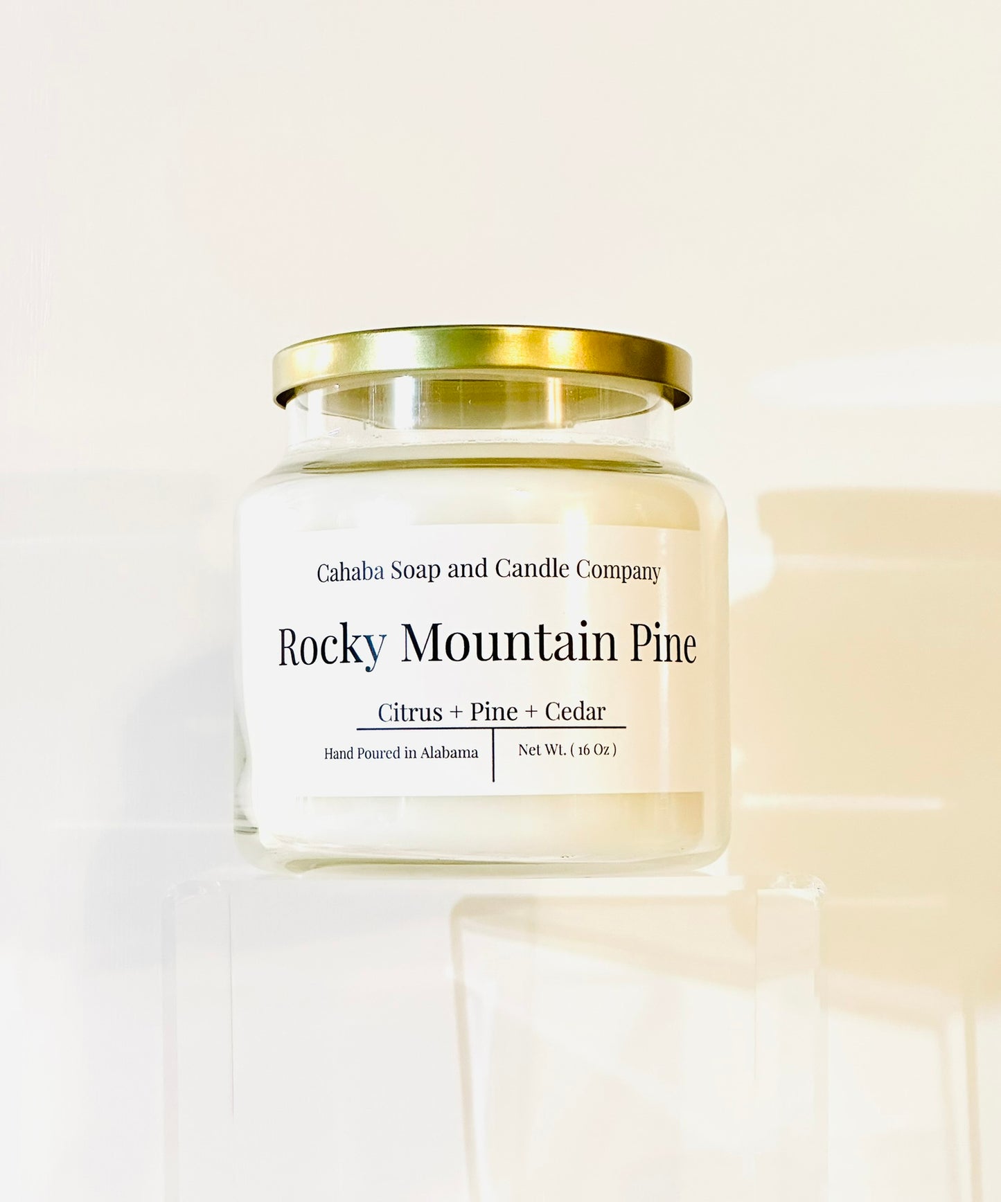 Rocky Mountain Pine