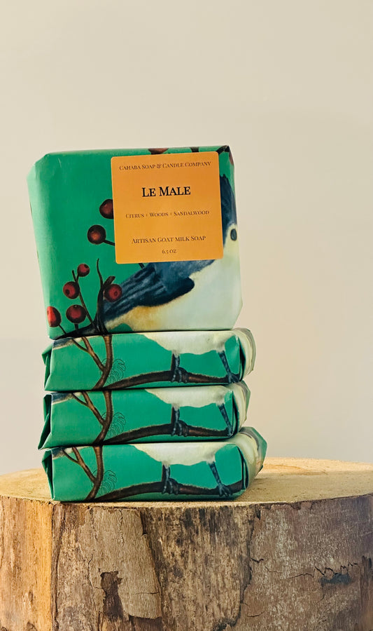 Le Male Bar Soap